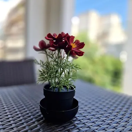 Terra Deluxe Residences * Vólos