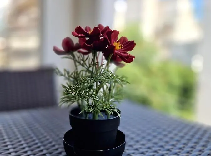 Terra Deluxe Residences * Volos